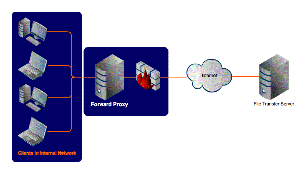 Forward Proxy