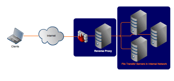 Reverse Proxy