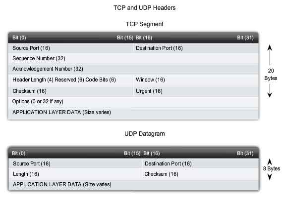 TCP-UDP Header 비교