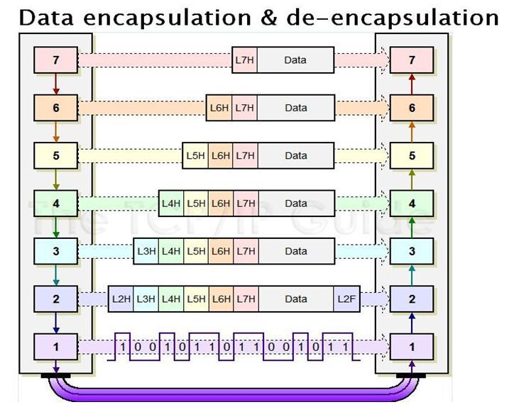 OSI 7 LAYER